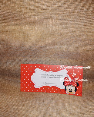 Plic de bani botez Minnie