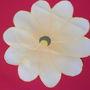 Floare pt aplicatii