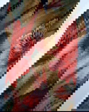 Esarfa florala  cod 0507