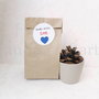 24b. Stickere si Pungute hartie reciclata