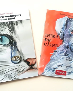 Cărticele minunate pentru copii