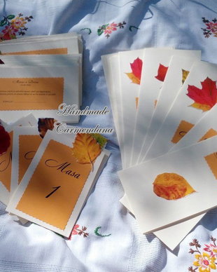 Set papetarie botez tematic toamna