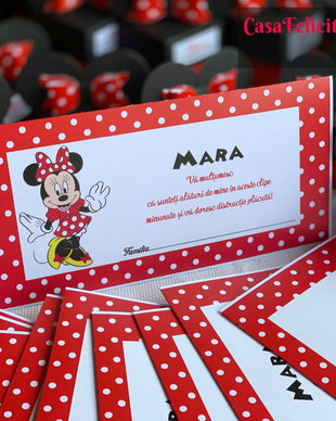 Plic de bani Minnie mouse rosie