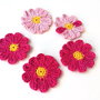 5 floricele crosetate manual