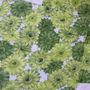 NOI-2 huse perne decorative