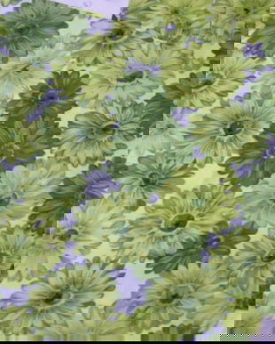 NOI-2 huse perne decorative