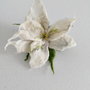 Brosa impaslita - Craciunita alba