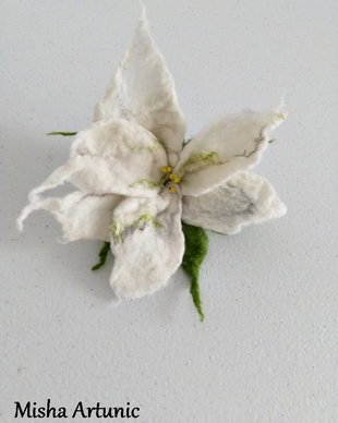 Brosa impaslita - Craciunita alba