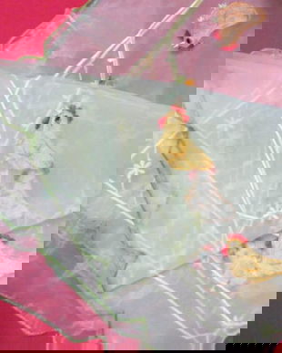 Napron organza cu broderie