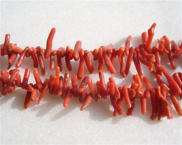 Crengute coral grad AA - sir usor crescator lung de 11.5 cm fara inchizatoare