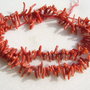 Crengute coral grad AA - sir usor crescator lung de 11.5 cm fara inchizatoare
