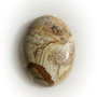 Cabochon landscape jasper aprox 40x30x8.5 mm