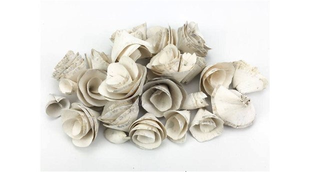 Flori din scoarta- 5buc/set- alb