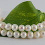 Perle cultura 7-7.5mm, cod ID11 (1)