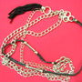Accesorii genti