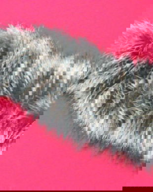 rezervat Cristina. Blanițe diverse