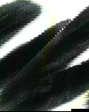 Guler blana de vulpe