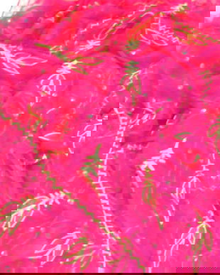 Etola indiana voal-DUPATTA