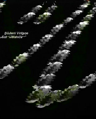 Vintage  Rezervat (171)