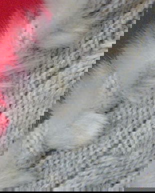 Nou- sal cu blanița