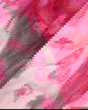 Cupon organza cu fluturi de catifea