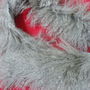Fular blana capra tibetana