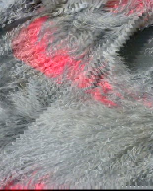 Fular blana capra tibetana