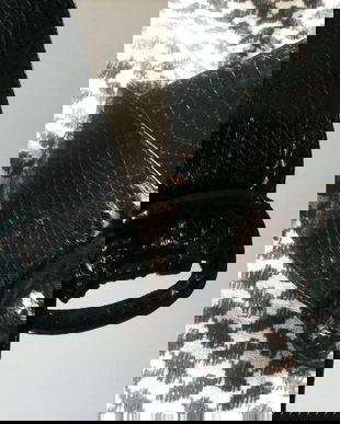 CUREA LATA PIELE NATURALA SARPE