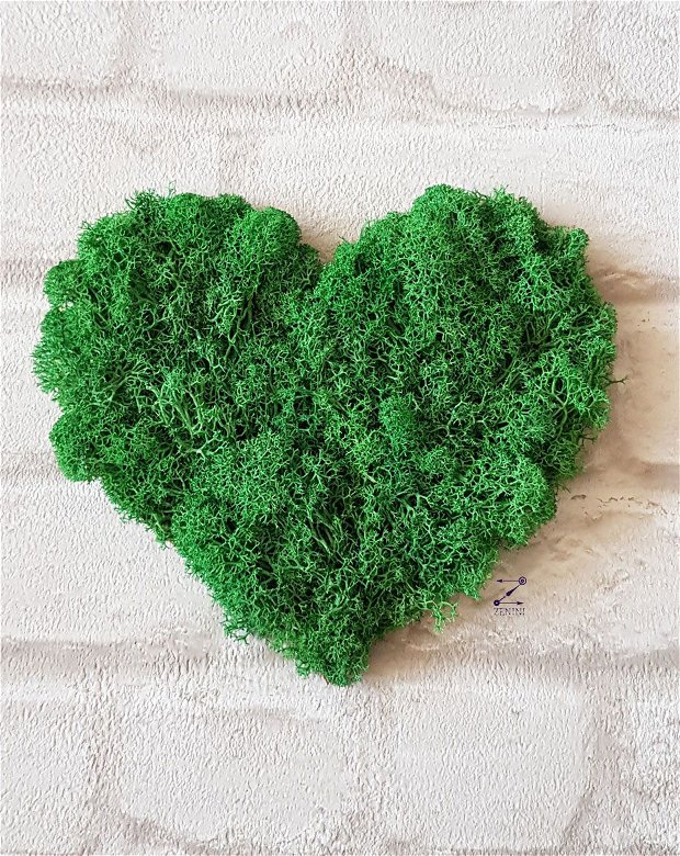 Inima licheni, decoratiune inima, decoratiune licheni stabilizati, ornament inima licheni, decor perete licheni