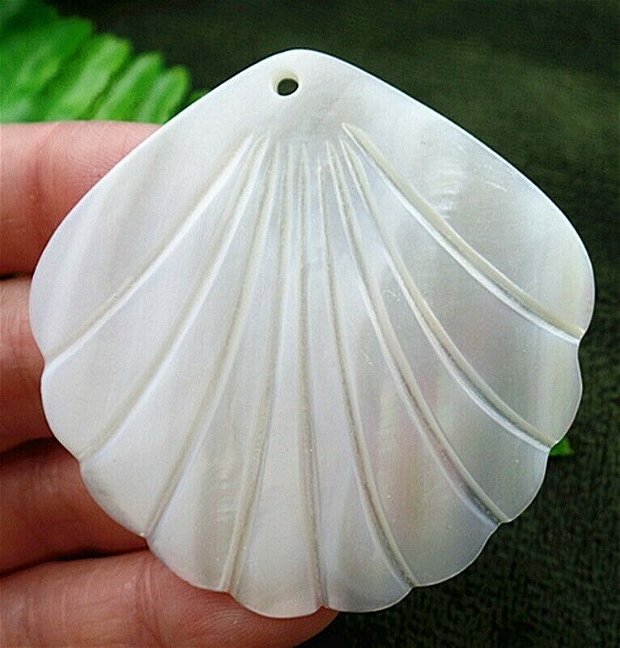Pandant shell