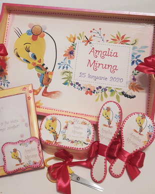 Set mot/prima aniversare cu tema Tweety