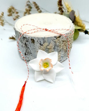 Martisor narcisa