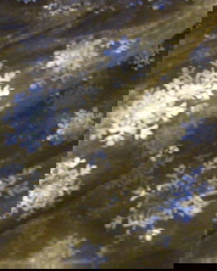 Cupon organza cu stelute