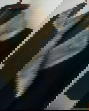 PALTON BLEUMARIN STOFA LANA SI BLANA NATURALA NURCA