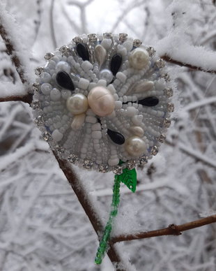 Broda păpădie.Martisor