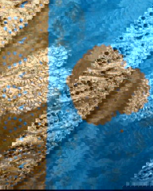 Nou-Sari indian 4,80m