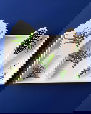 Set mireasa lacramioare, set gatitul miresei lacramioare, set perie si oglinda lacramioare, set tava mireasa, set nunta lacramioare, set mireasa margaritar, tava mireasa