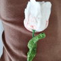 Brosa impaslita - Lalea alba