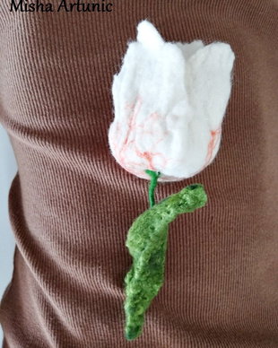 Brosa impaslita - Lalea alba