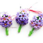 Hyacinthus orientalis(Zambile) -martisoare brose