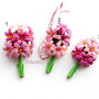Hyacinthus orientalis(Zambile roz) -martisoare brose