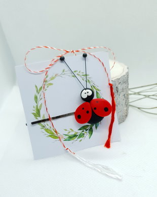Martisor -agrafa de par buburuza