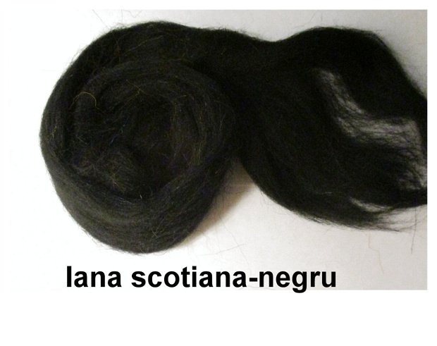 lana scotiana-negru