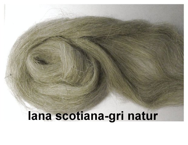 lana scotiana-gri