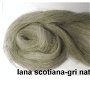 lana scotiana-gri