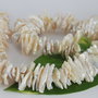 Perle Keshi 10~20x10~20x1~9mm, cod P01 (1)