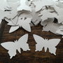 160 fluturi decupati din alba, elegantă, sidefata