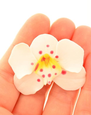 Orhideea alba- brosa "martisor"
