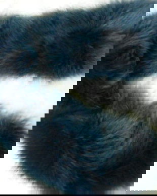 Guler blana albastra