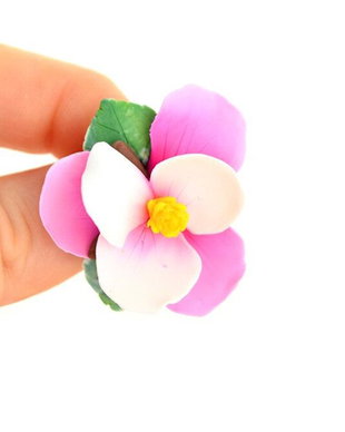 Magnolia- brosa "martisor"